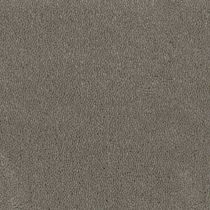 Desso Tapijt Asteranne A411 9504 T1 400cm